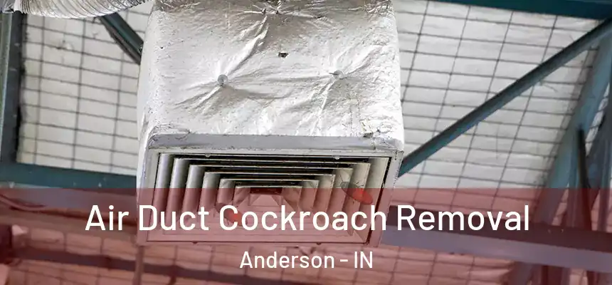  Air Duct Cockroach Removal Anderson - IN