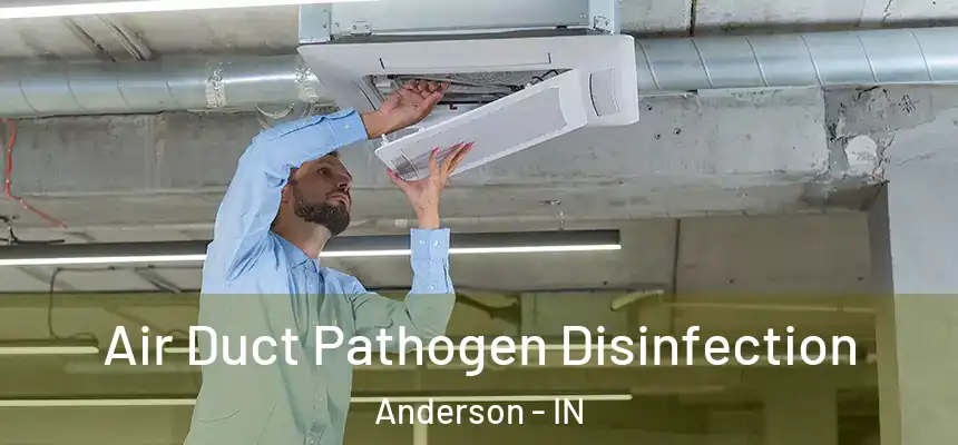  Air Duct Pathogen Disinfection Anderson - IN