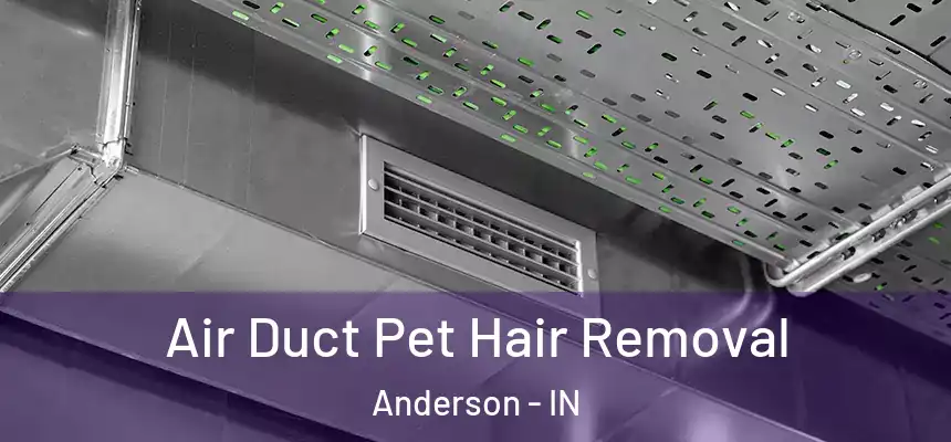  Air Duct Pet Hair Removal Anderson - IN