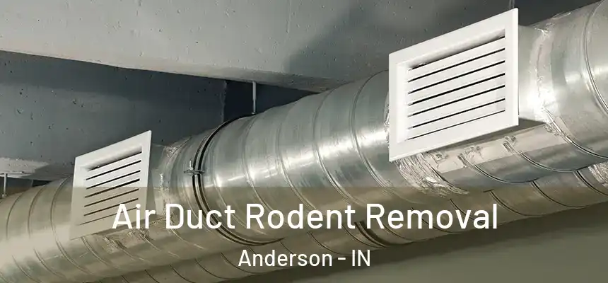  Air Duct Rodent Removal Anderson - IN