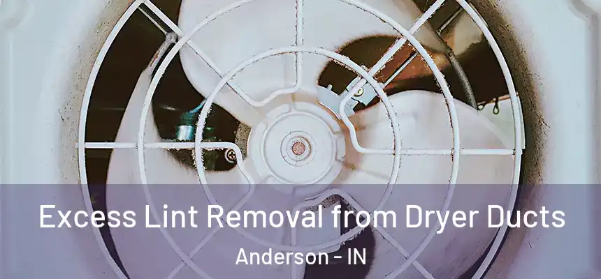 Excess Lint Removal from Dryer Ducts Anderson - IN