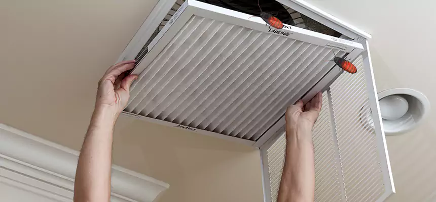 Preventive Cockroach-Proofing for Ducts in Anderson