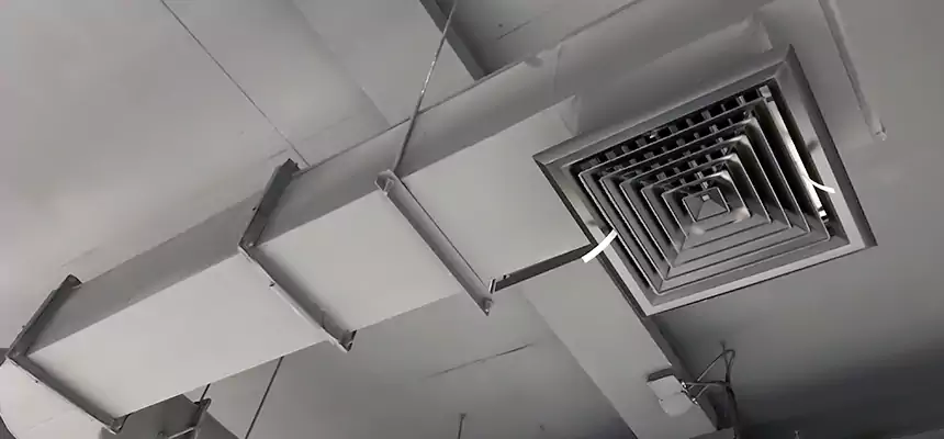 Our Pest Removal From Ducts Services in Anderson, IN