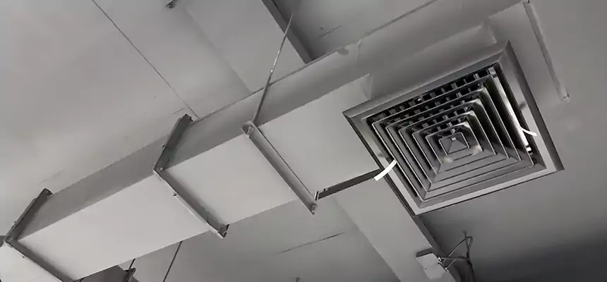 Our Rodent Droppings In Vents Services in Anderson, IN