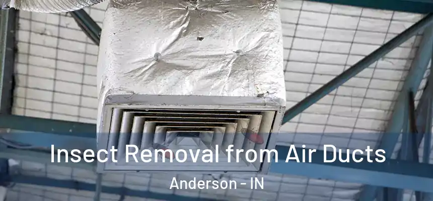  Insect Removal from Air Ducts Anderson - IN