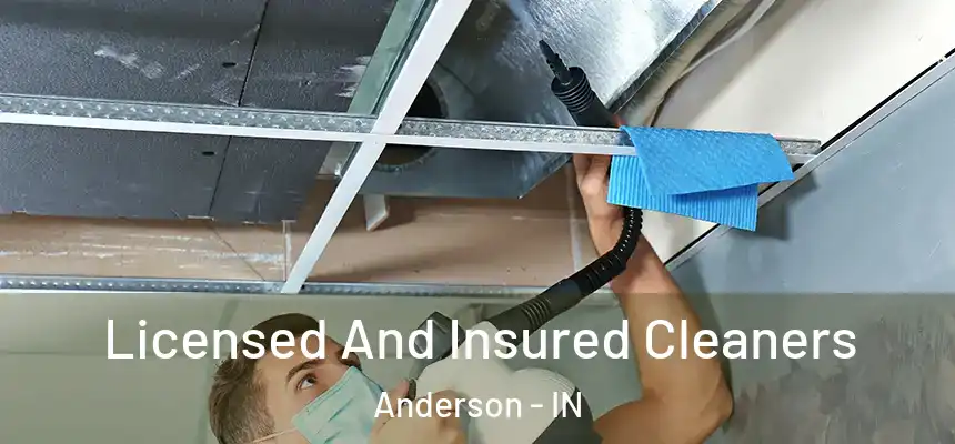  Licensed And Insured Cleaners Anderson - IN