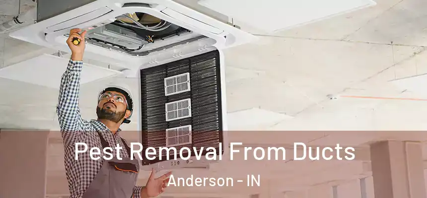  Pest Removal From Ducts Anderson - IN