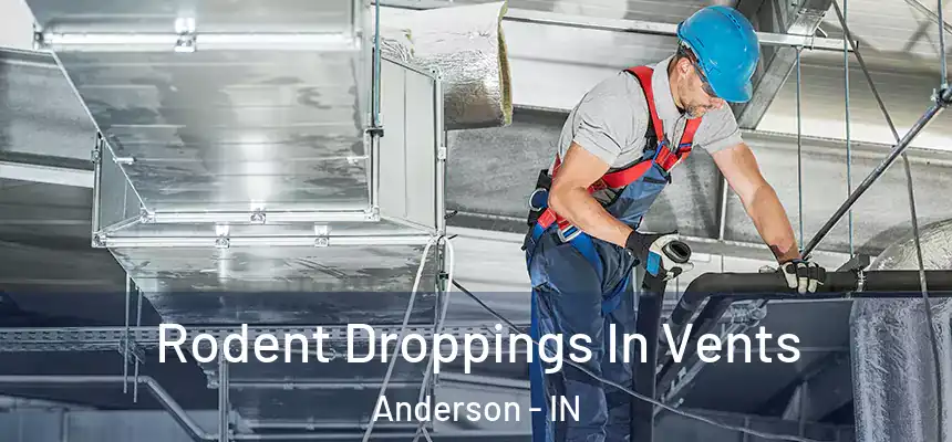  Rodent Droppings In Vents Anderson - IN