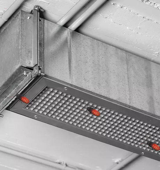About Air Duct Cockroach Removal in Anderson, IN