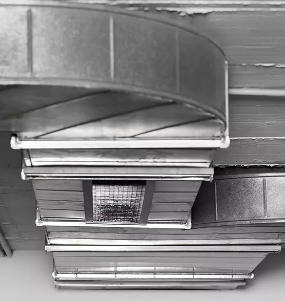 Professional Air Duct Pet Hair Removal in Anderson, IN