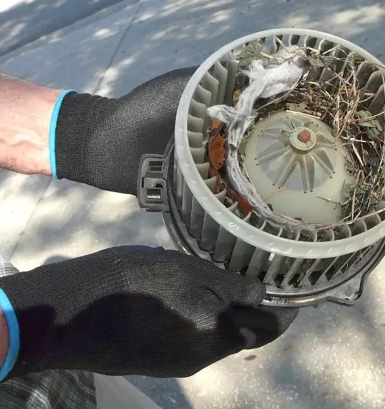 About Air Duct Rat Removal in Anderson, IN