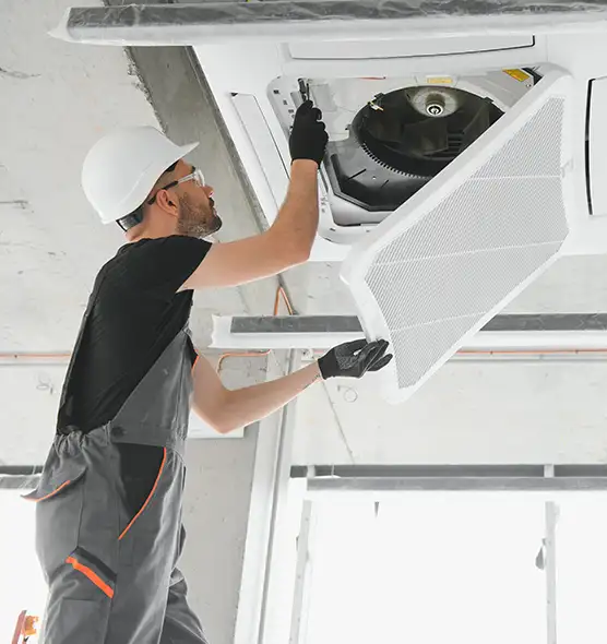 About Air Duct Rodent Removal in Anderson, IN