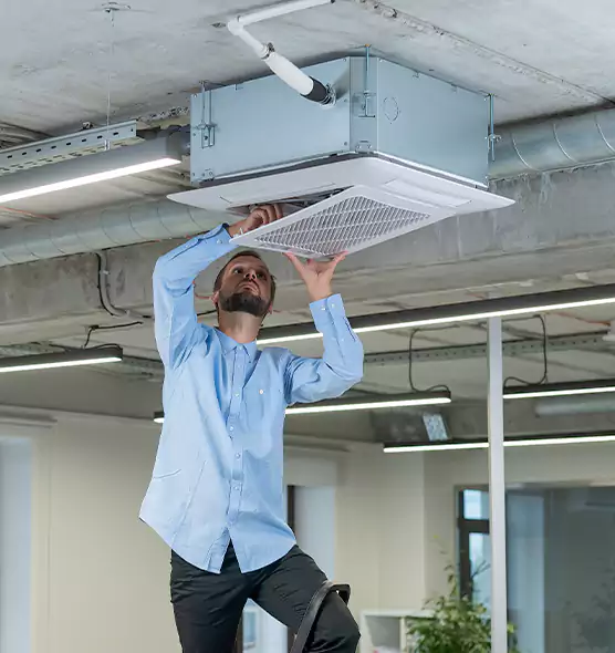 Advanced Rodent Droppings In Vents in Anderson, IN
