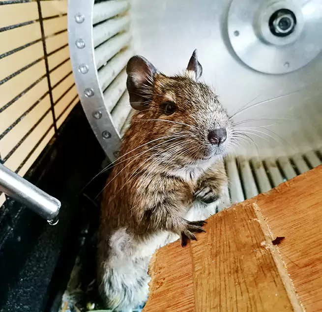 Why Homeowners & Businesses Trust Us Anderson, IN?