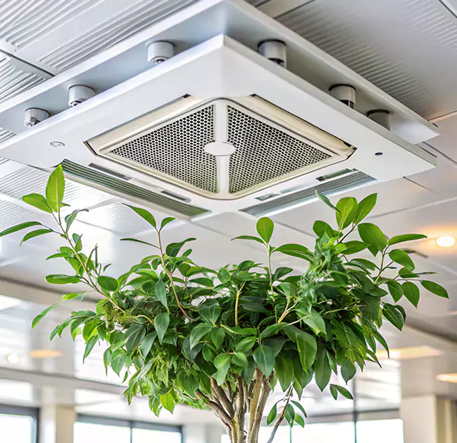 Why Homeowners & Businesses Trust Us in Anderson, IN