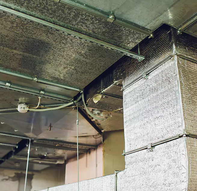 Why Homeowners & Businesses Trust Us in Anderson, IN?