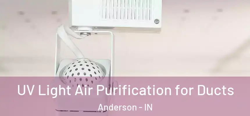  UV Light Air Purification for Ducts Anderson - IN
